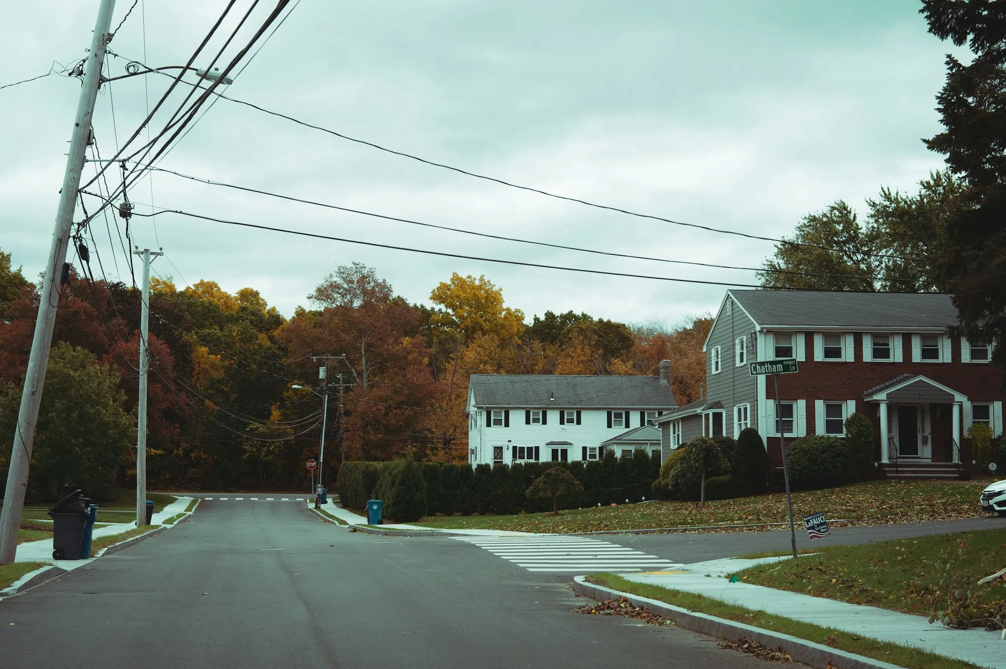 Residential street lined with large leafy trees
