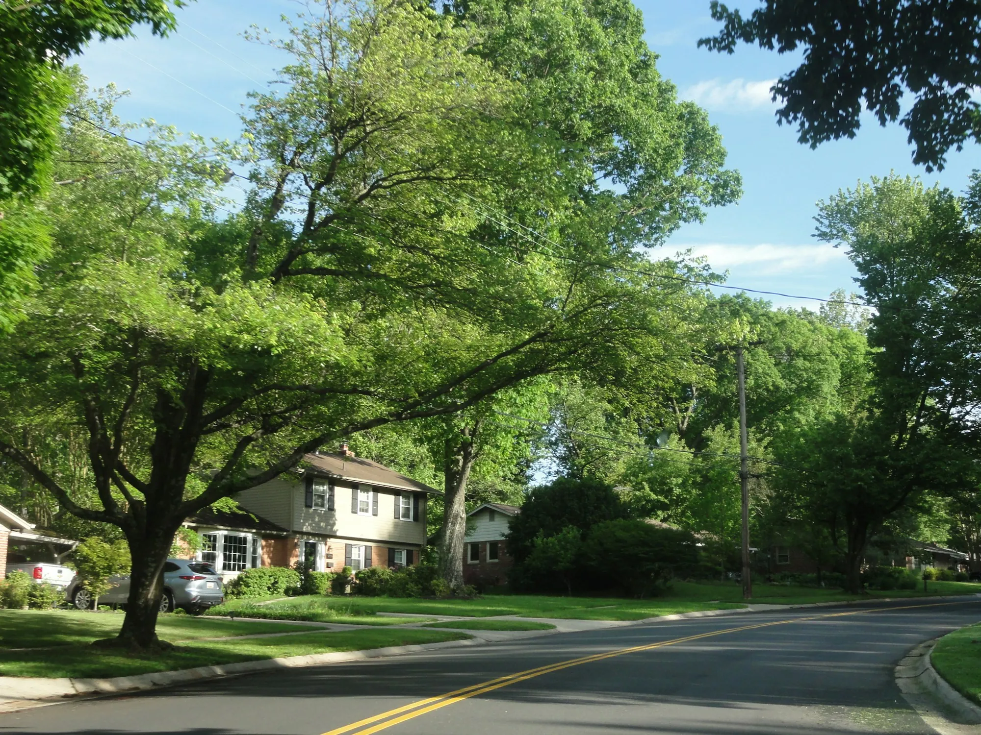 Detached house among green trees